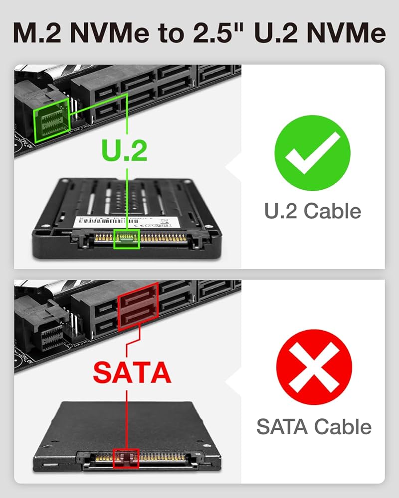 Blackmagic Cloud Dock 2 + U.2 PCIe SSD変換 Blackmagic Cloud Dock 2」レビュー。U.2 SSDに対応した映像制作